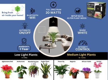 basics-plant-light-indoor-plants-healthier-air-healthier-you
