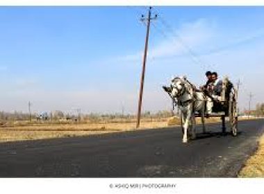 the-horse-cart-is-still-a-mode-of-transportation-in-kashmir-photo-ashiq-mir